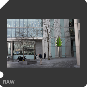 RAW sample