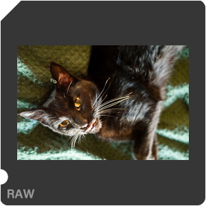 RAW sample