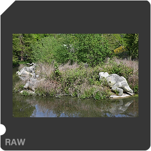 RAW sample