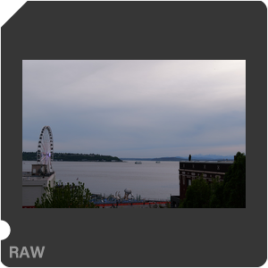 RAW sample
