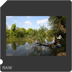 RAW sample