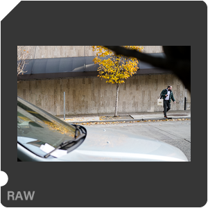 RAW sample