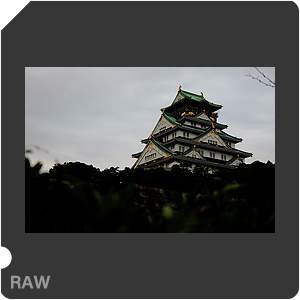 RAW sample