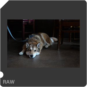 RAW sample