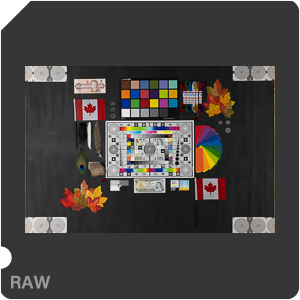 RAW sample