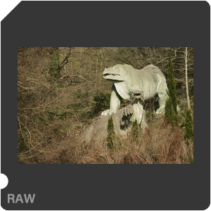 RAW sample
