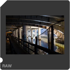 RAW sample