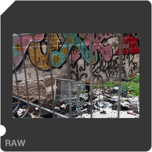 RAW sample