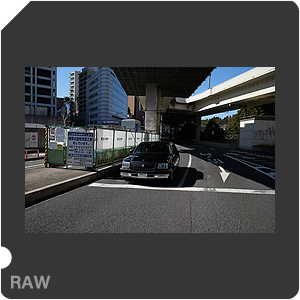 RAW sample