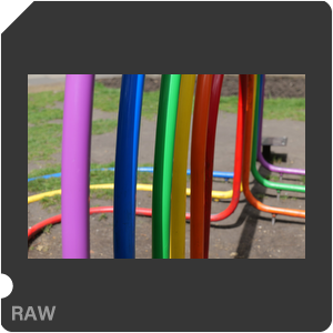 RAW sample