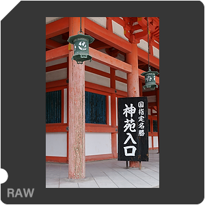RAW sample