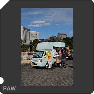 RAW sample