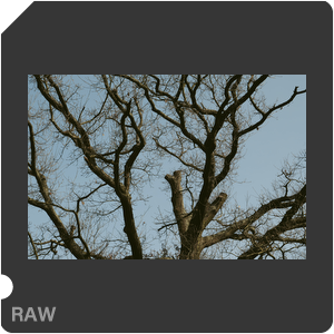 RAW sample