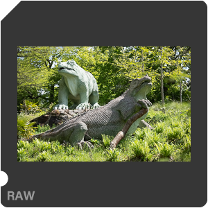 RAW sample
