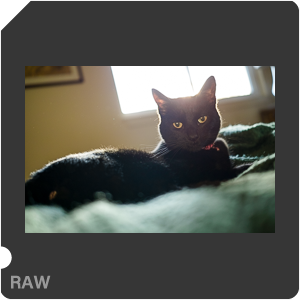 RAW sample
