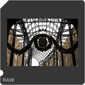 RAW sample
