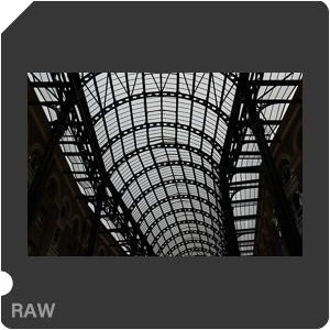 RAW sample