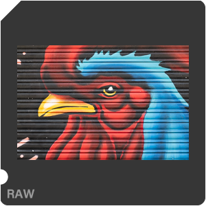 RAW sample