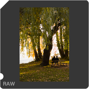 RAW sample