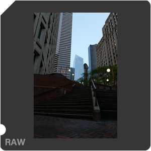RAW sample