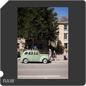 RAW sample