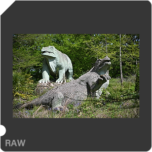 RAW sample