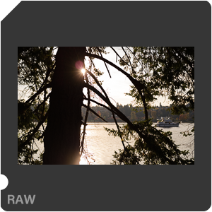 RAW sample