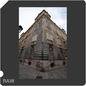 RAW sample