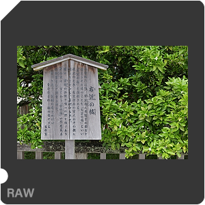 RAW sample