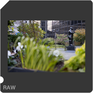 RAW sample