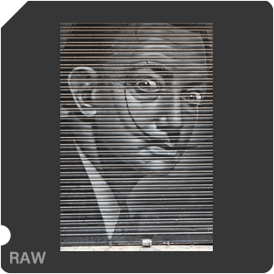 RAW sample