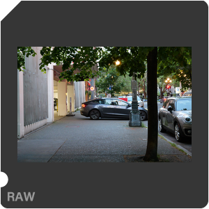 RAW sample