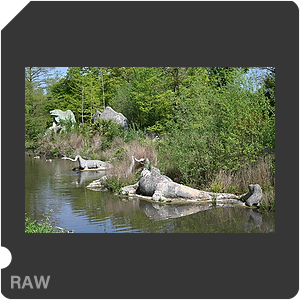 RAW sample