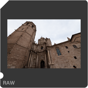 RAW sample