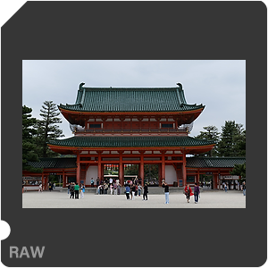 RAW sample
