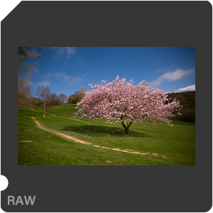 RAW sample