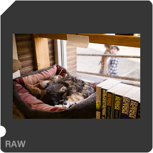 RAW sample