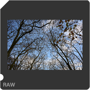 Nikon Z f + Nikkor Z 28mm f/2.8. Примеры RAW файлов