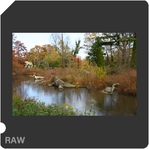 Nikon Z f Camera with Nikkor Z 40mm f/2.0. Examples of RAW files