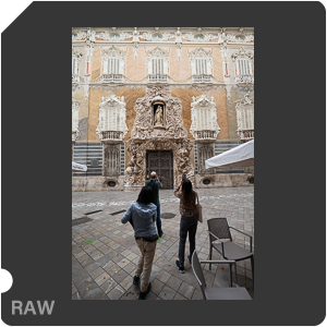 RAW sample