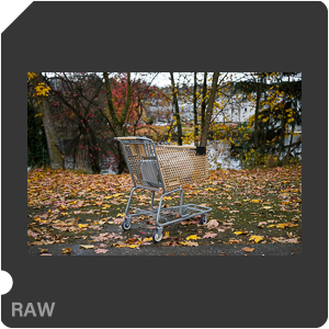 RAW sample
