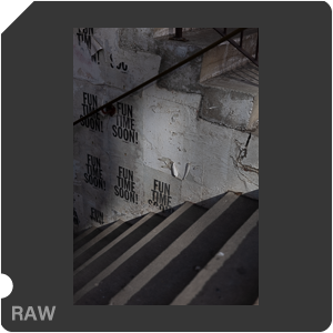RAW sample
