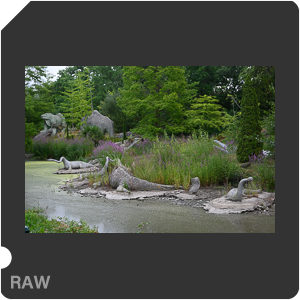 RAW sample