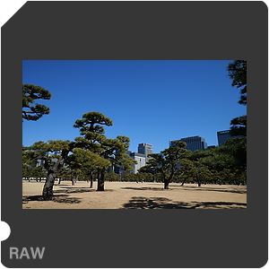 RAW sample