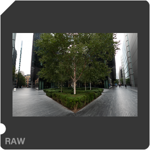 RAW sample