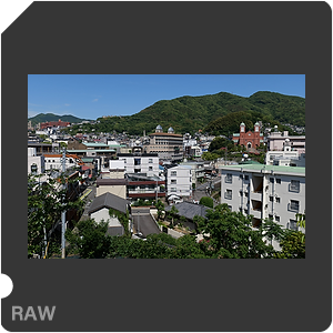 RAW sample