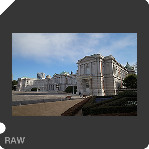 RAW sample