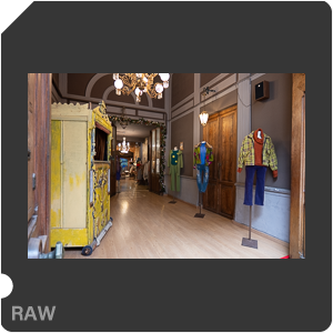 RAW sample