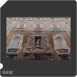 RAW sample