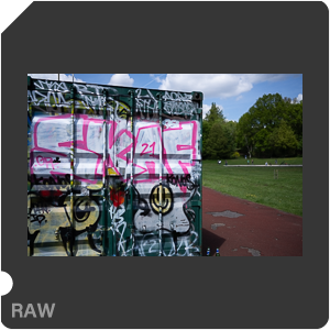 RAW sample